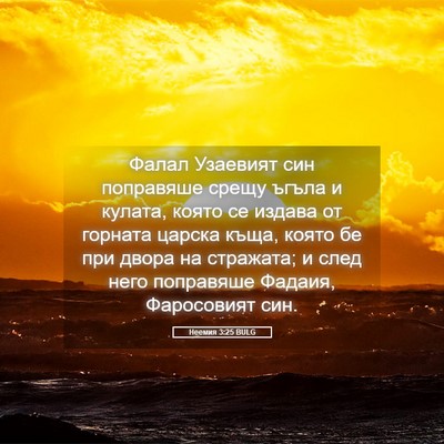 Picture 05 - Неемия 3:25 BULG - Фалал Узаевият син - Bible Verse Picture