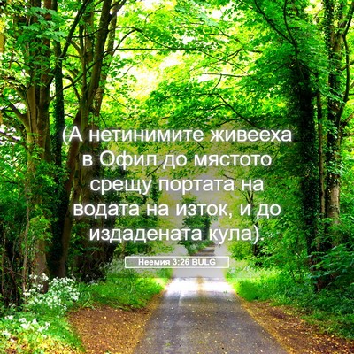 Picture 05 - Неемия 3:26 BULG - (А нетинимите живееха в - Bible Verse Picture