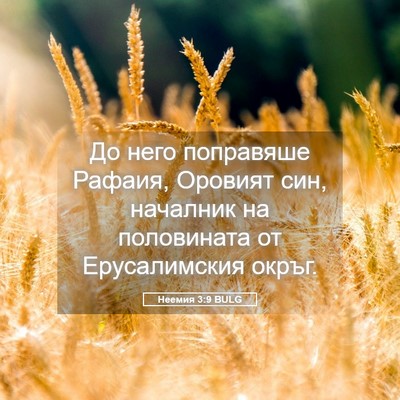 Picture 05 - Неемия 3:9 BULG - До него поправяше Рафаия, - Bible Verse Picture