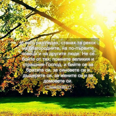 Picture 05 - Неемия 4:14 BULG - И като разгледах, станах та - Bible Verse Picture