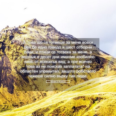 Picture 05 - Неемия 5:18 BULG - А това що се готвеше за - Bible Verse Picture