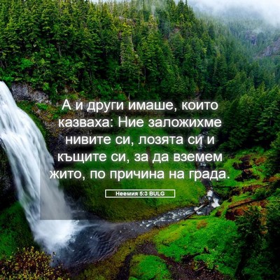 Picture 05 - Неемия 5:3 BULG - А и други имаше, които - Bible Verse Picture