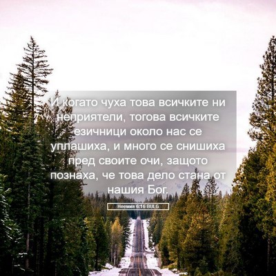 Picture 05 - Неемия 6:16 BULG - И когато чуха това - Bible Verse Picture