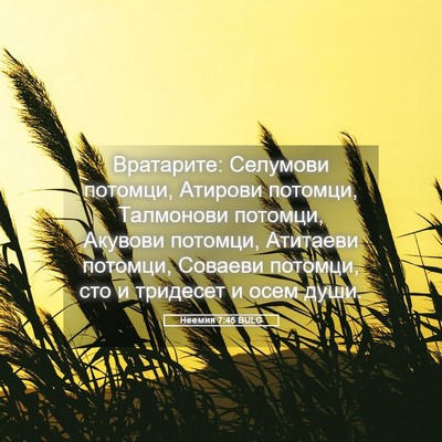 Picture 05 - Неемия 7:45 BULG - Вратарите: Селумови - Bible Verse Picture