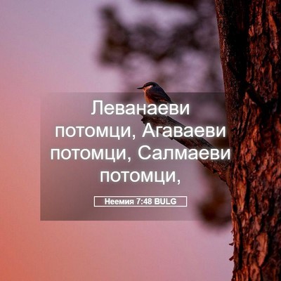 Picture 05 - Неемия 7:48 BULG - Леванаеви потомци, - Bible Verse Picture