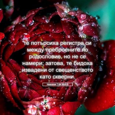Picture 05 - Неемия 7:64 BULG - те потърсиха регистра си - Bible Verse Picture