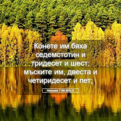 Picture 05 - Неемия 7:68 BULG - Конете им бяха седемстотин - Bible Verse Picture
