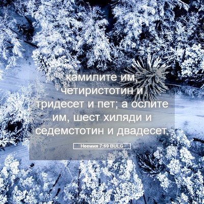Picture 05 - Неемия 7:69 BULG - камилите им, четиристотин - Bible Verse Picture