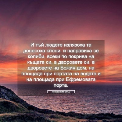 Picture 05 - Неемия 8:16 BULG - И тъй людете излязоха та - Bible Verse Picture