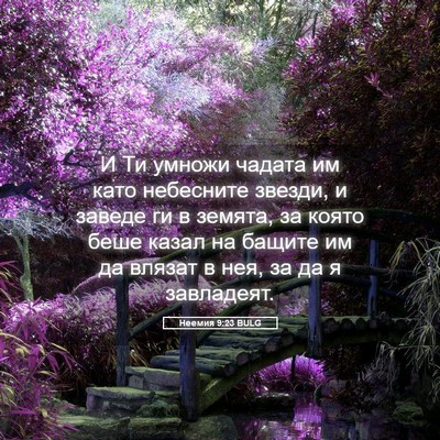 Picture 05 - Неемия 9:23 BULG - И Ти умножи чадата им като - Bible Verse Picture