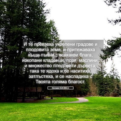 Picture 05 - Неемия 9:25 BULG - И те превзеха укрепени - Bible Verse Picture