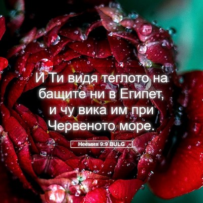 Picture 05 - Неемия 9:9 BULG - И Ти видя теглото на бащите - Bible Verse Picture