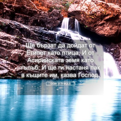 Picture 05 - Осия 11:11 BULG - Ще бързат да дойдат от - Bible Verse Picture