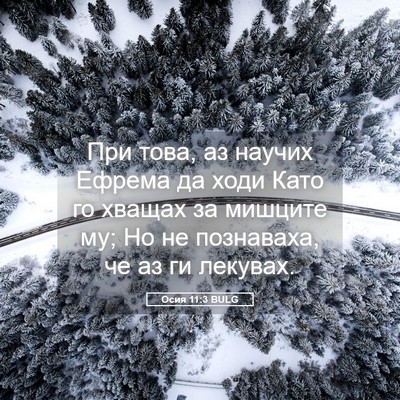 Picture 05 - Осия 11:3 BULG - При това, аз научих Ефрема - Bible Verse Picture