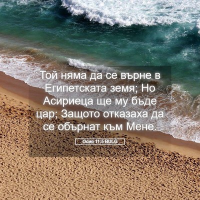 Picture 05 - Осия 11:5 BULG - Той няма да се върне в - Bible Verse Picture