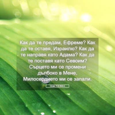 Picture 05 - Осия 11:8 BULG - Как да те предам, Ефреме? - Bible Verse Picture