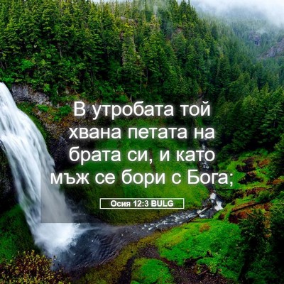 Picture 05 - Осия 12:3 BULG - В утробата той хвана - Bible Verse Picture