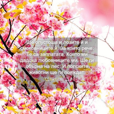 Picture 05 - Осия 2:12 BULG - Ще опустоша и лозите й и - Bible Verse Picture