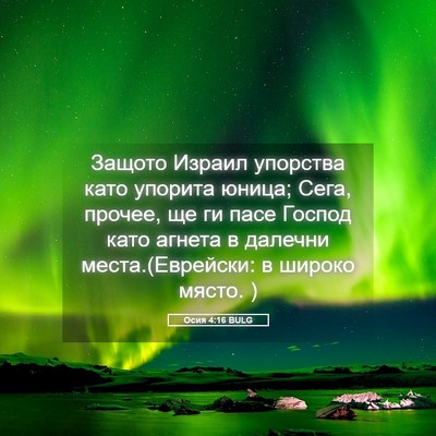 Picture 05 - Осия 4:16 BULG - Защото Израил упорства - Bible Verse Picture