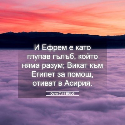 Picture 05 - Осия 7:11 BULG - И Ефрем е като глупав - Bible Verse Picture
