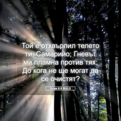 Picture 05 - Осия 8:5 BULG - Той е отхвърлил телето ти, - Bible Verse Picture