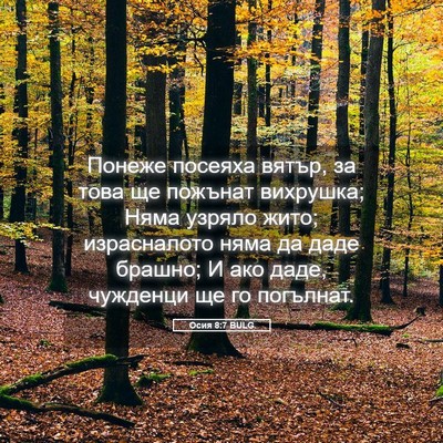 Picture 05 - Осия 8:7 BULG - Понеже посеяха вятър, за - Bible Verse Picture
