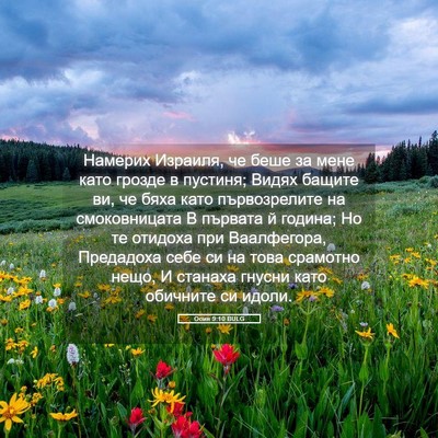 Picture 05 - Осия 9:10 BULG - Намерих Израиля, че беше за - Bible Verse Picture