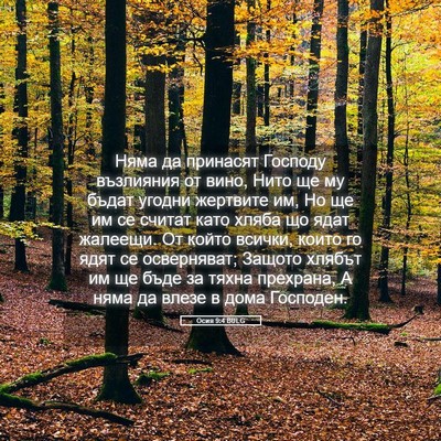 Picture 05 - Осия 9:4 BULG - Няма да принасят Господу - Bible Verse Picture