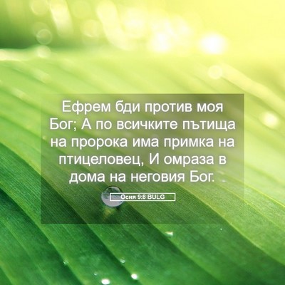 Picture 05 - Осия 9:8 BULG - Ефрем бди против моя Бог; А - Bible Verse Picture
