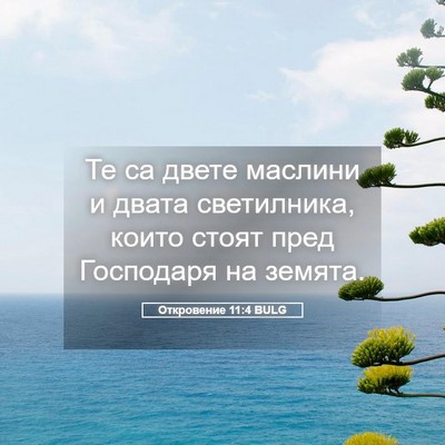 Picture 05 - Откровение 11:4 BULG - Те са двете маслини и двата - Bible Verse Picture