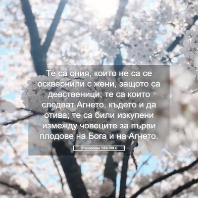 Picture 05 - Откровение 14:4 BULG - Те са ония, които не са се - Bible Verse Picture