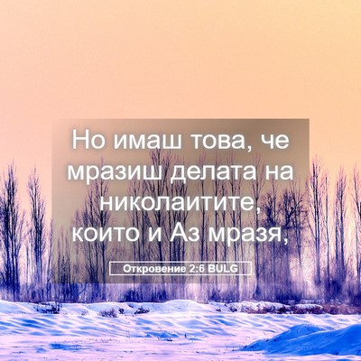 Picture 05 - Откровение 2:6 BULG - Но имаш това, че мразиш - Bible Verse Picture