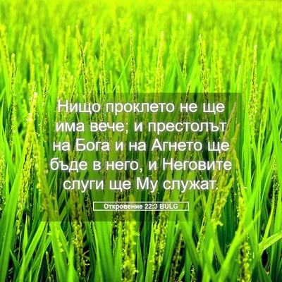 Picture 05 - Откровение 22:3 BULG - Нищо проклето не ще има - Bible Verse Picture