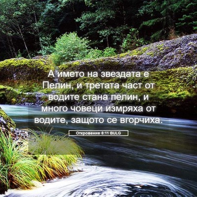 Picture 05 - Откровение 8:11 BULG - А името на звездата е - Bible Verse Picture