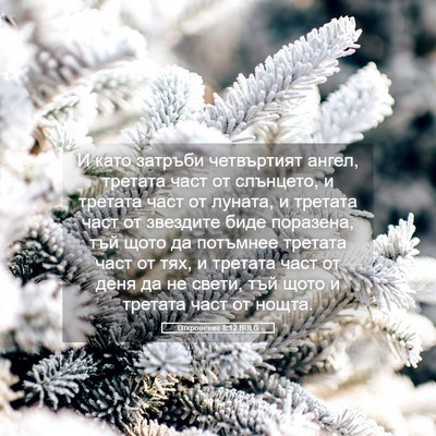 Picture 05 - Откровение 8:12 BULG - И като затръби четвъртият - Bible Verse Picture