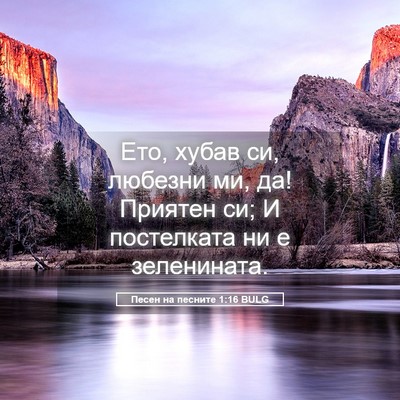 Picture 05 - Песен на песните 1:16 BULG - Ето, хубав си, любезни ми, - Bible Verse Picture