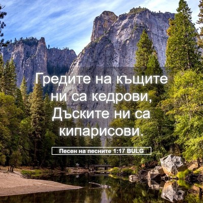 Picture 05 - Песен на песните 1:17 BULG - Гредите на къщите ни са - Bible Verse Picture