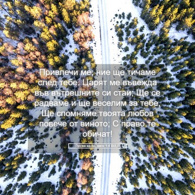 Picture 05 - Песен на песните 1:4 BULG - Привлечи ме; ние ще тичаме - Bible Verse Picture