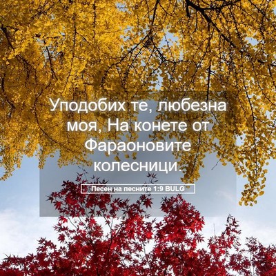 Picture 05 - Песен на песните 1:9 BULG - Уподобих те, любезна моя, - Bible Verse Picture