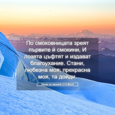 Picture 05 - Песен на песните 2:13 BULG - По смоковницата зреят - Bible Verse Picture