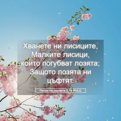 Picture 05 - Песен на песните 2:15 BULG - Хванете ни лисиците, - Bible Verse Picture