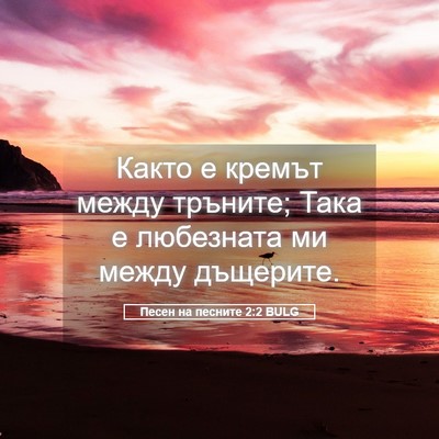Picture 05 - Песен на песните 2:2 BULG - Както е кремът между - Bible Verse Picture