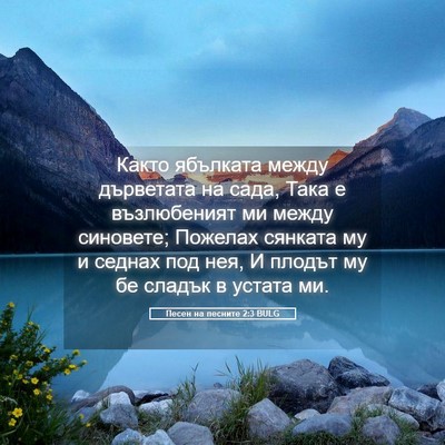 Picture 05 - Песен на песните 2:3 BULG - Както ябълката между - Bible Verse Picture
