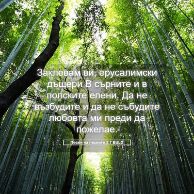 Picture 05 - Песен на песните 2:7 BULG - Заклевам ви, ерусалимски - Bible Verse Picture