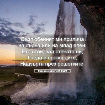 Picture 05 - Песен на песните 2:9 BULG - Възлюбеният ми прилича на - Bible Verse Picture