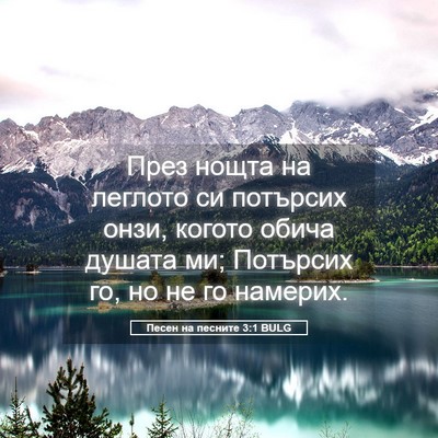 Picture 05 - Песен на песните 3:1 BULG - През нощта на леглото си - Bible Verse Picture