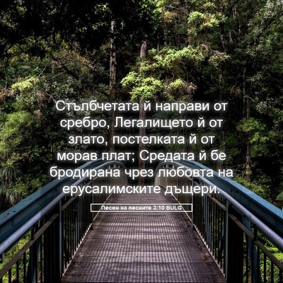 Picture 05 - Песен на песните 3:10 BULG - Стълбчетата й направи от - Bible Verse Picture