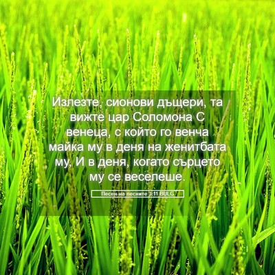 Picture 05 - Песен на песните 3:11 BULG - Излезте, сионови дъщери, та - Bible Verse Picture
