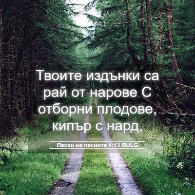Picture 05 - Песен на песните 4:13 BULG - Твоите издънки са рай от - Bible Verse Picture