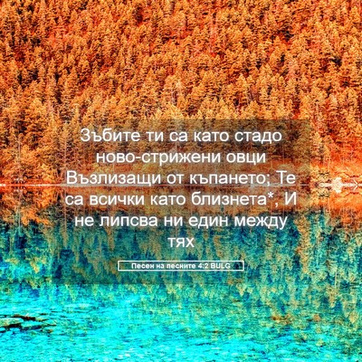 Picture 05 - Песен на песните 4:2 BULG - Зъбите ти са като стадо - Bible Verse Picture